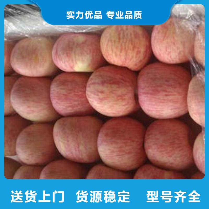 红富士苹果红富士苹果产地现货批发