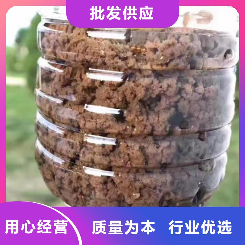 聚丙烯酰胺_活性炭今日新品