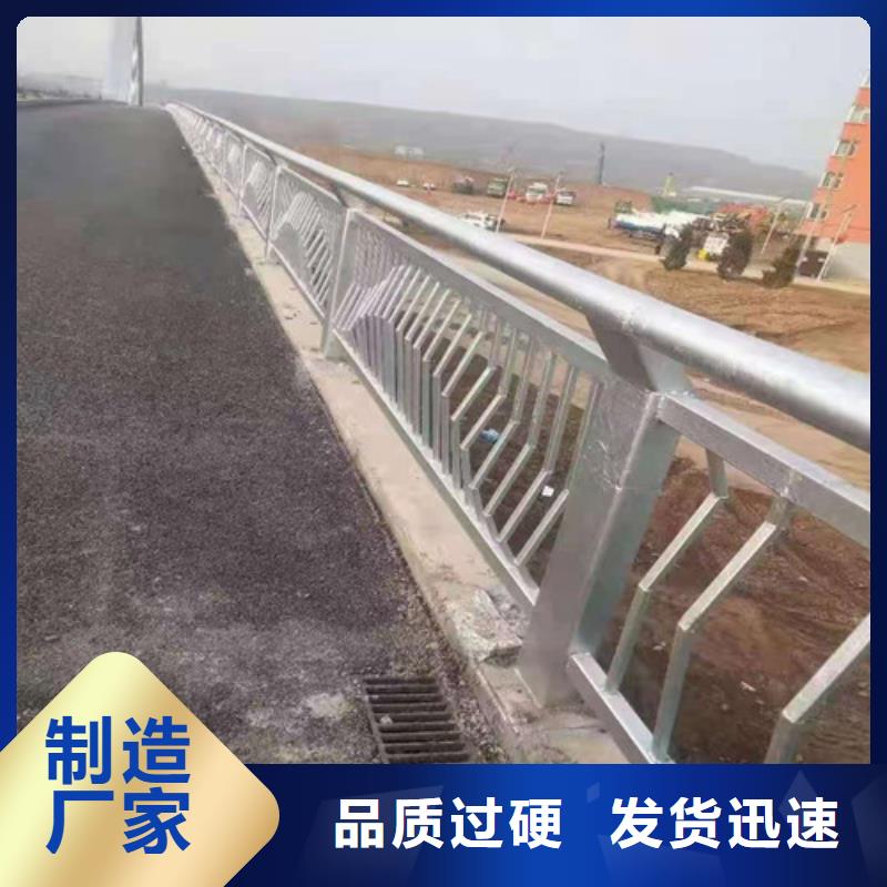 销售不锈钢复合管道路护栏的厂家