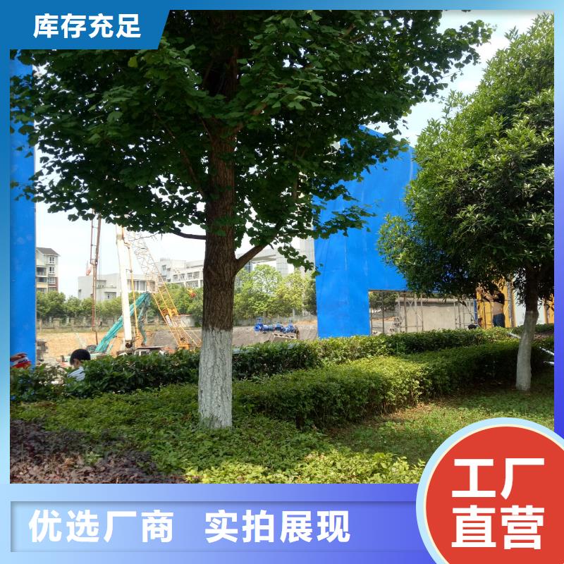 广告素材供您所需