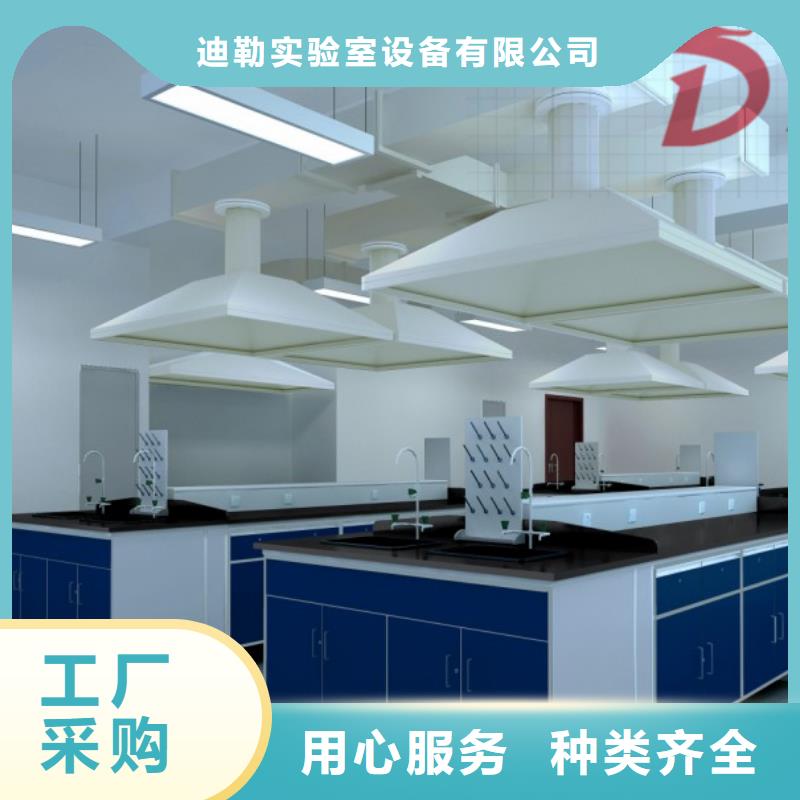 实验室家具,防爆气瓶柜厂家价格定做
