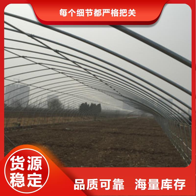 大棚管_角钢好厂家有担当