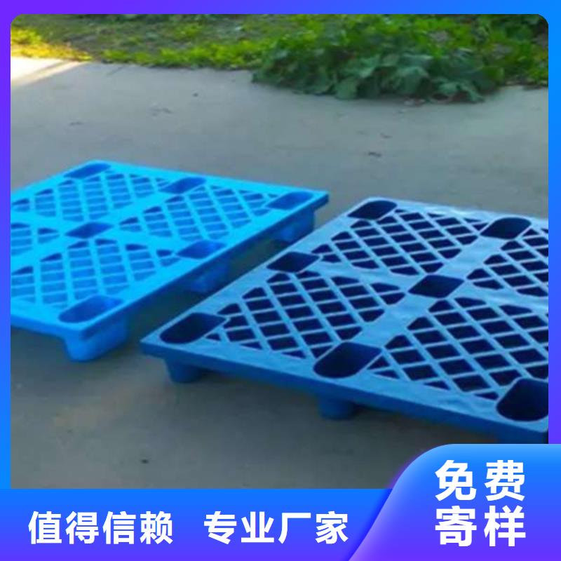 塑料托盘塑料托盘工厂好产品不怕比
