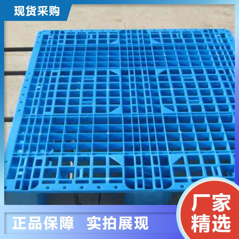 塑料托盘,塑料托盘尺寸品质值得信赖