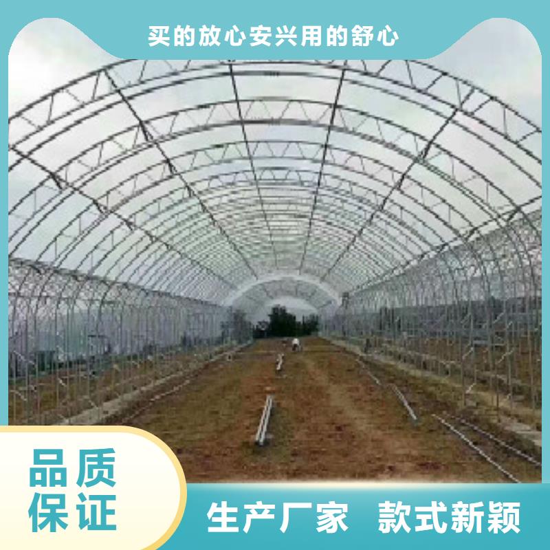 镀锌椭圆管择优