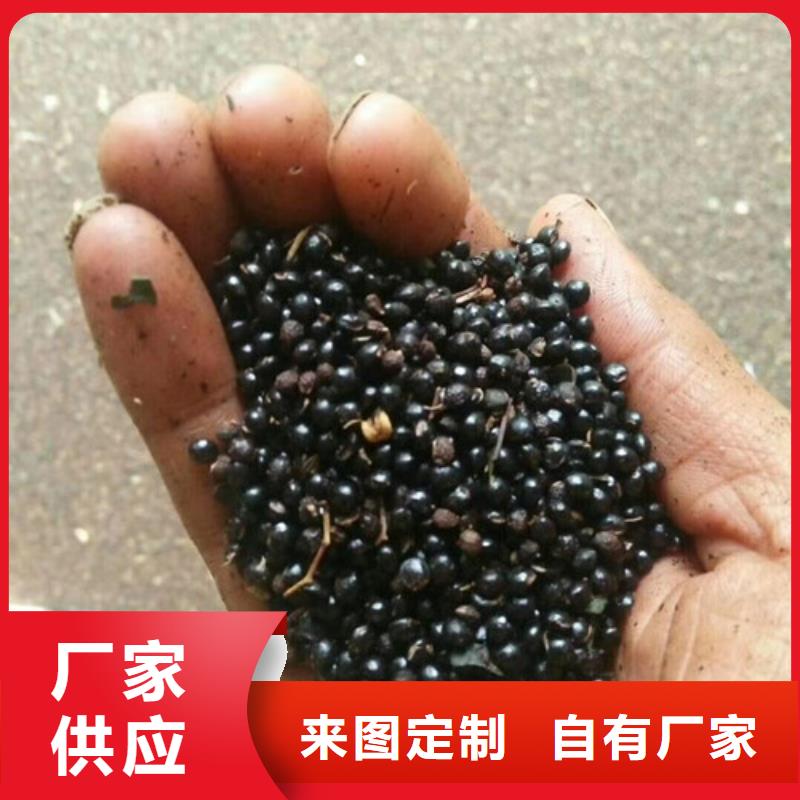 花椒苗_桃树苗联系厂家