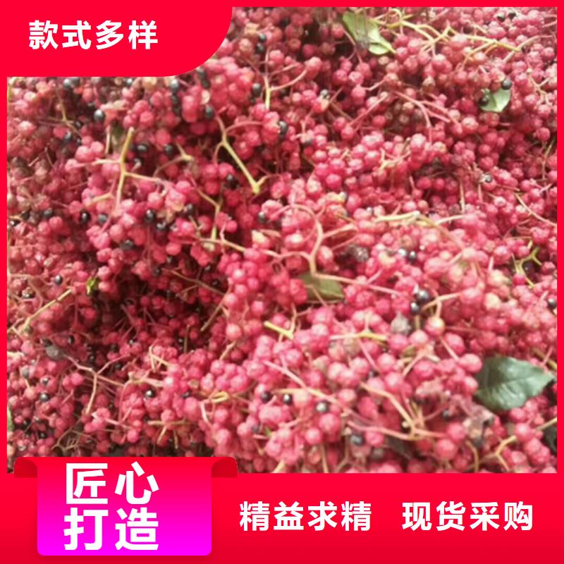 花椒苗板栗苗贴心服务