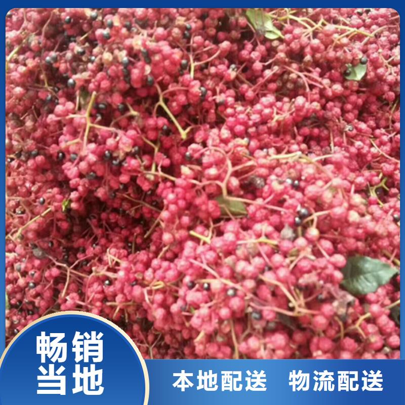 花椒苗苹果苗精工细致打造
