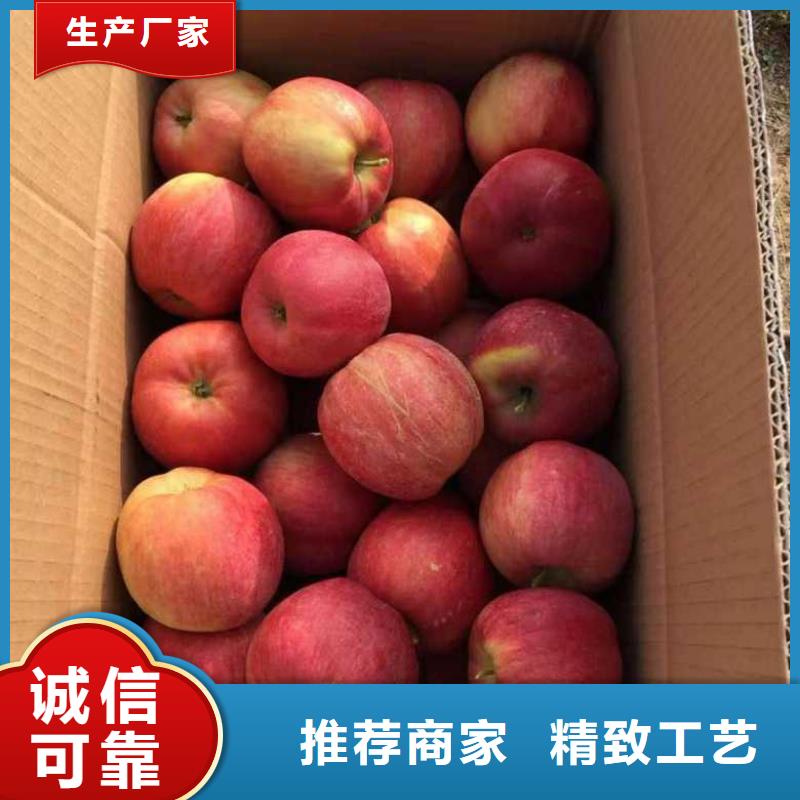 苹果苗花椒苗全新升级品质保障