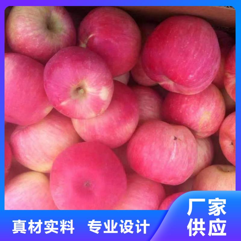 苹果苗_核桃苗产品优良