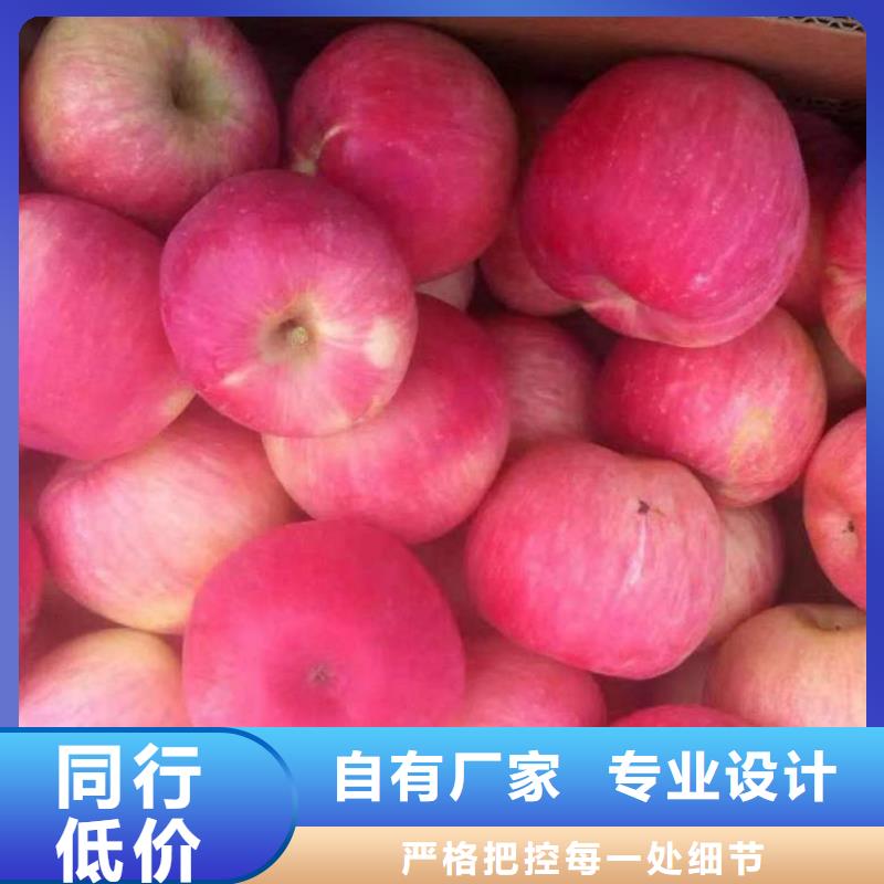 【苹果苗_花椒苗为品质而生产】