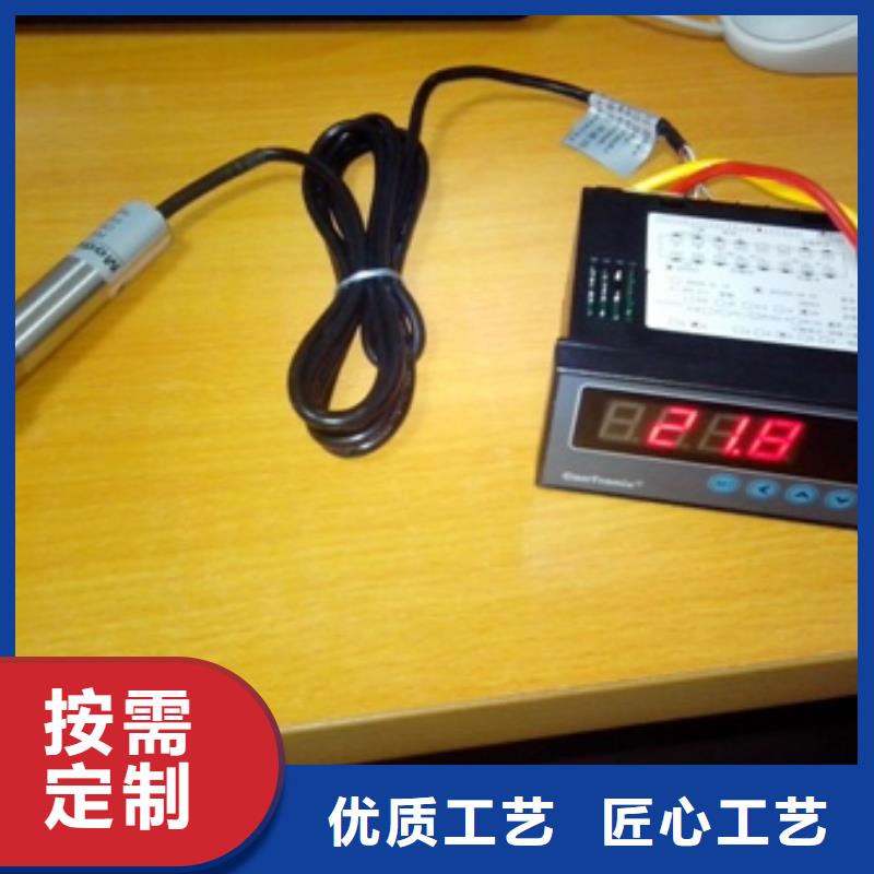 IRTP300L吹扫装置库存量大