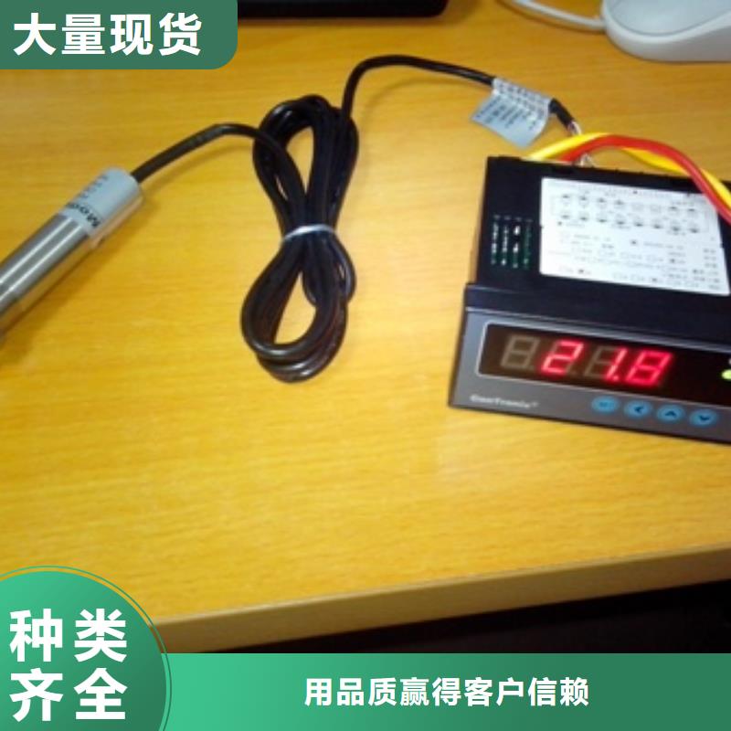 IRTP300L温度无线测量系统一站式采购