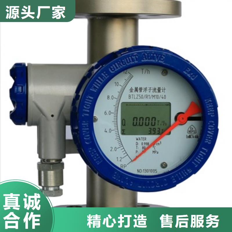 内衬PTFE金属转子流量计_微小流量计诚信经营质量保证
