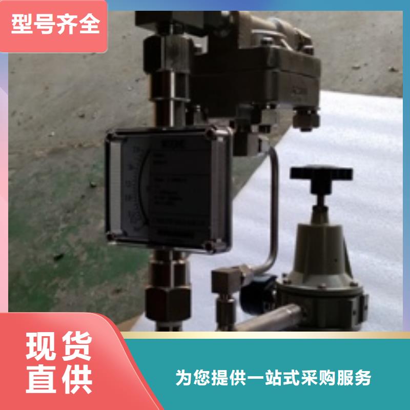 吹扫装置-红外探头快速发货