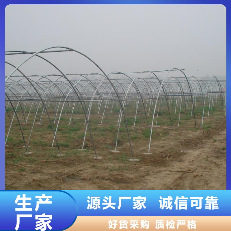 镀锌大棚管50*5紫铜排支持大批量采购