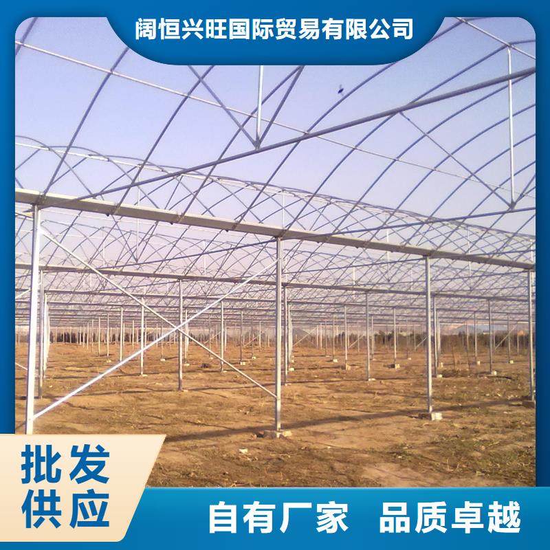 镀锌大棚管厂当天发货