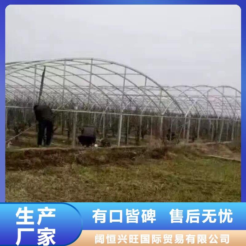 10CRMO9-10无缝钢管加工厂