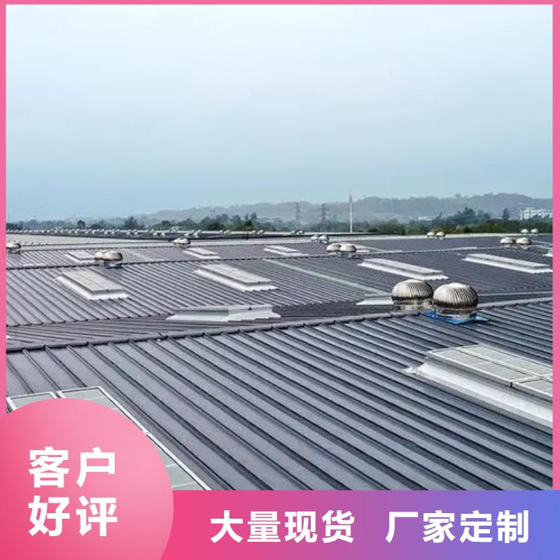 负压风机价格低
