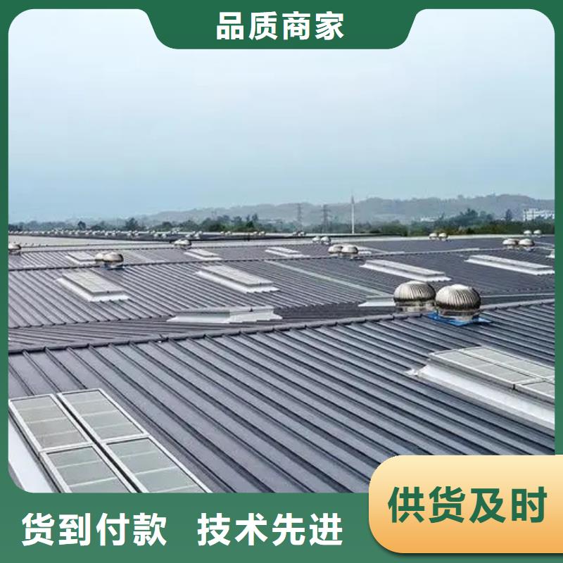 通风天窗制造厂