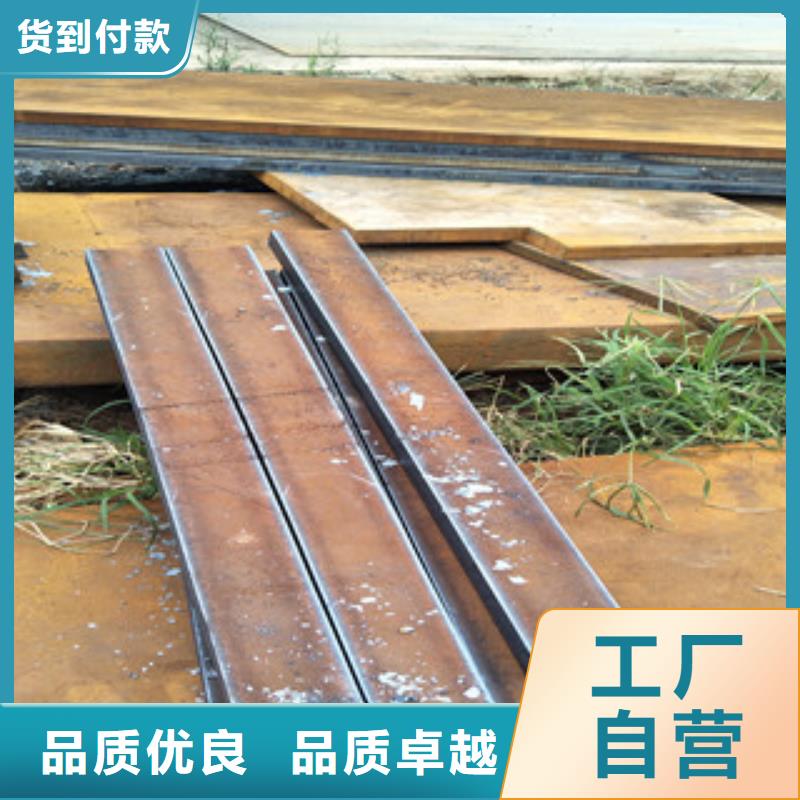 耐低温Q460E镀锌带钢4mm厚现货厂家