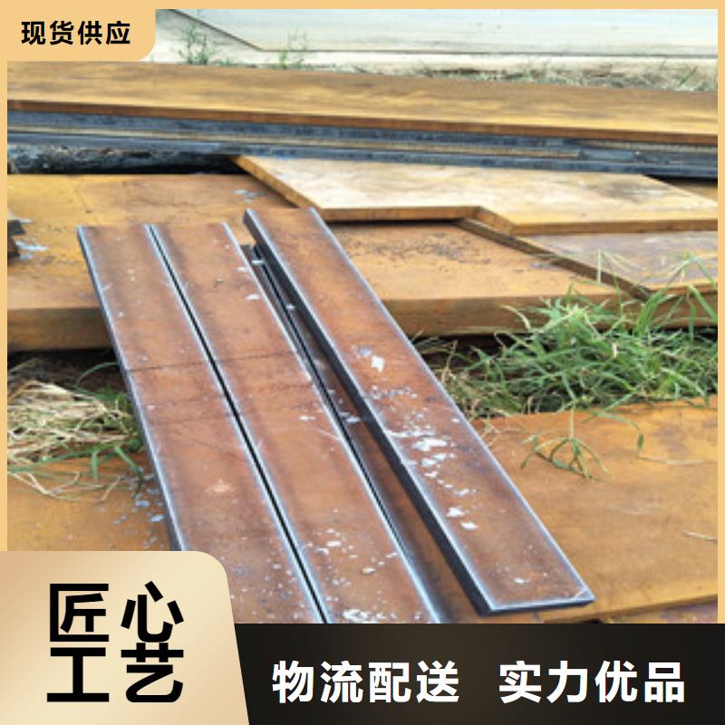Q390D耐低温镀锌带钢（瑞吉尔钢铁专营）