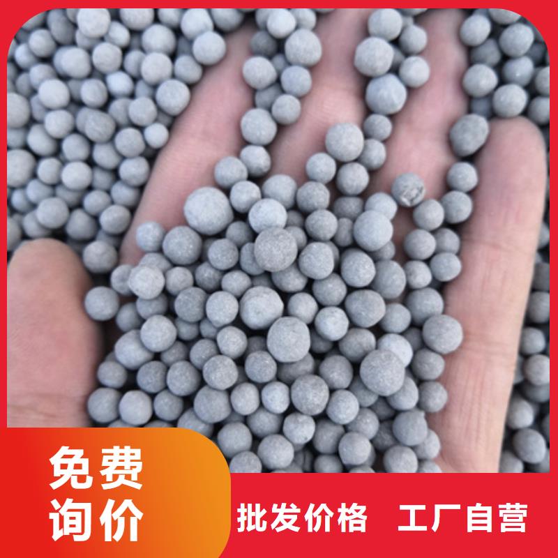 粉煤灰陶粒硝化滤料豫嵩陶粒