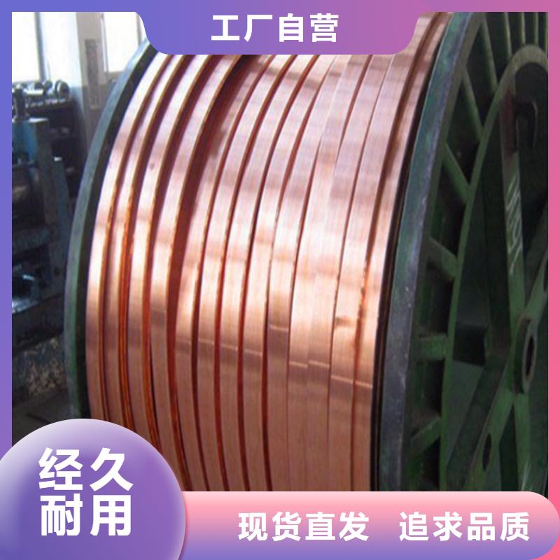 紫铜排_铜绞线优选厂家
