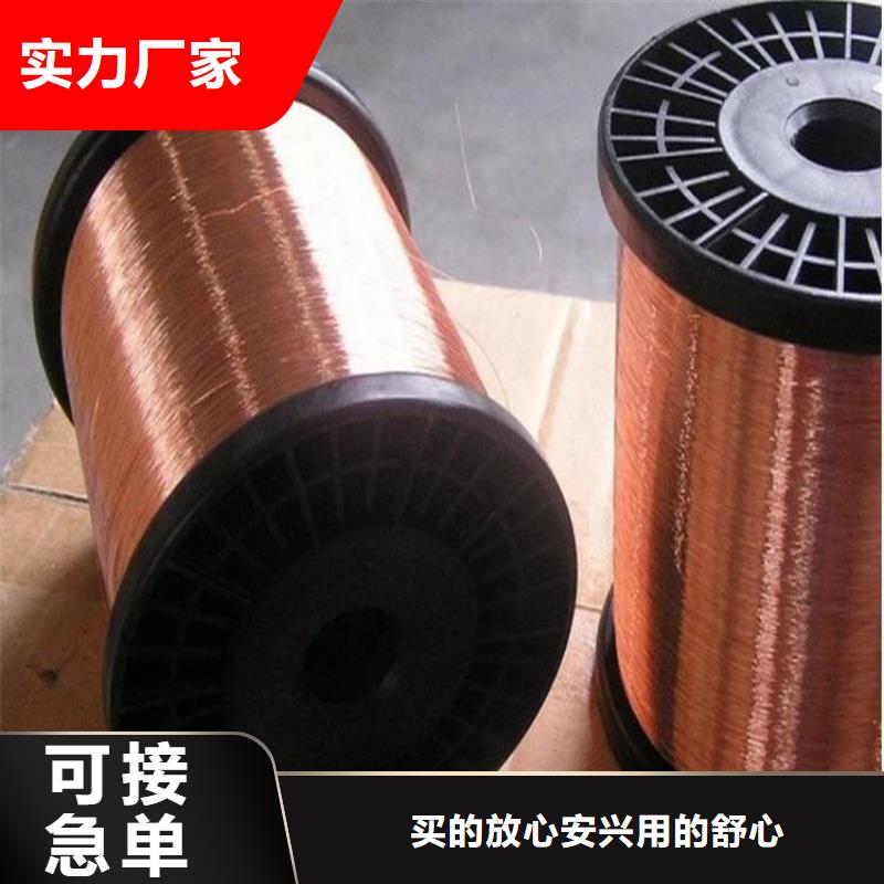 铜绞线紫铜带实力商家供货稳定