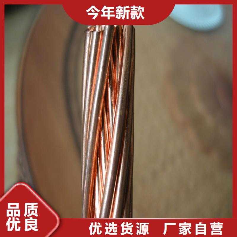 铜绞线_紫铜带诚信可靠