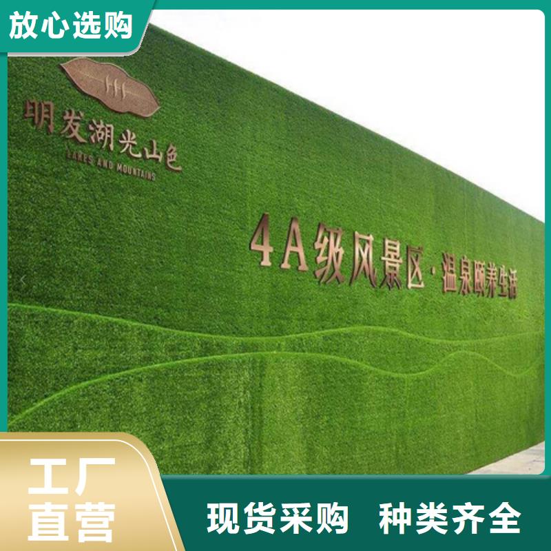 围挡草坪假草皮围挡厂家直销规格多样