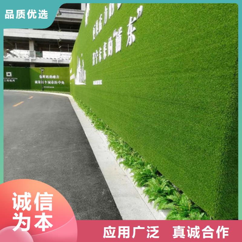 围挡草皮哪家质量好