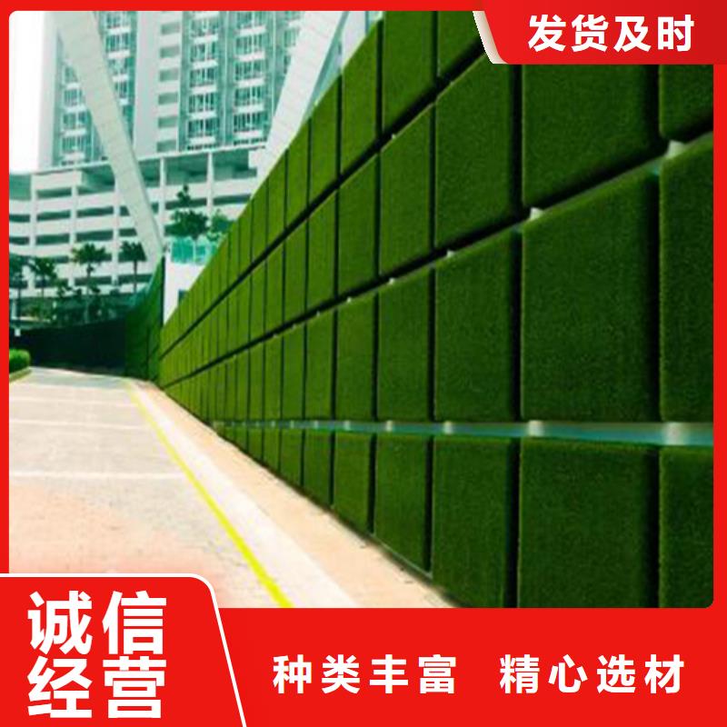 围挡草坪假草皮围挡诚信可靠