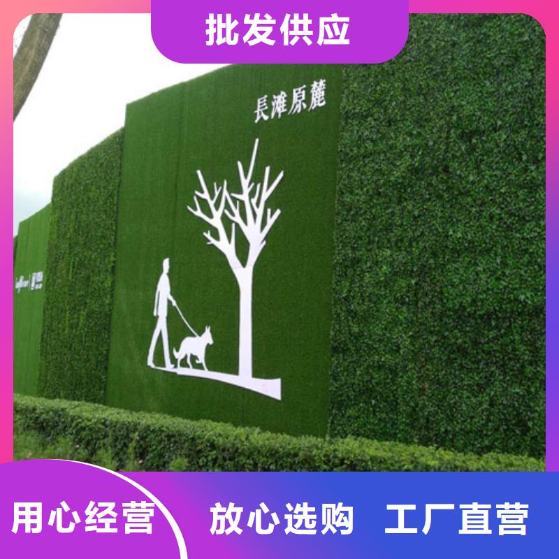 围挡人造草坪批发中心