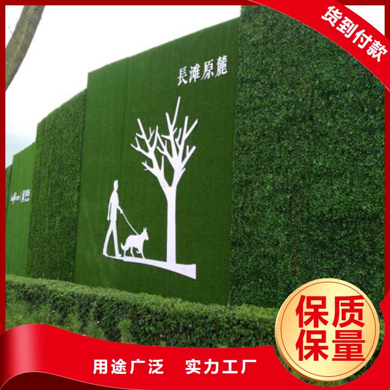 围挡草坪从源头保证品质