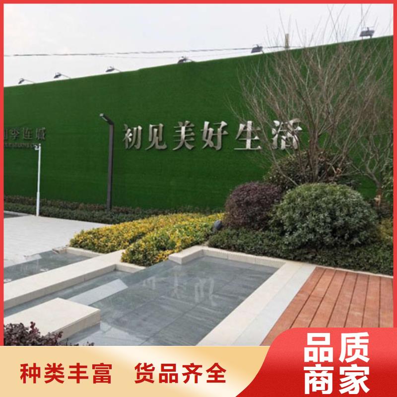 草坪墙围挡多钱一平米【博翔远草坪】