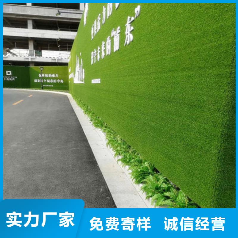 草坪墙围挡多钱一平米【博翔远草坪】