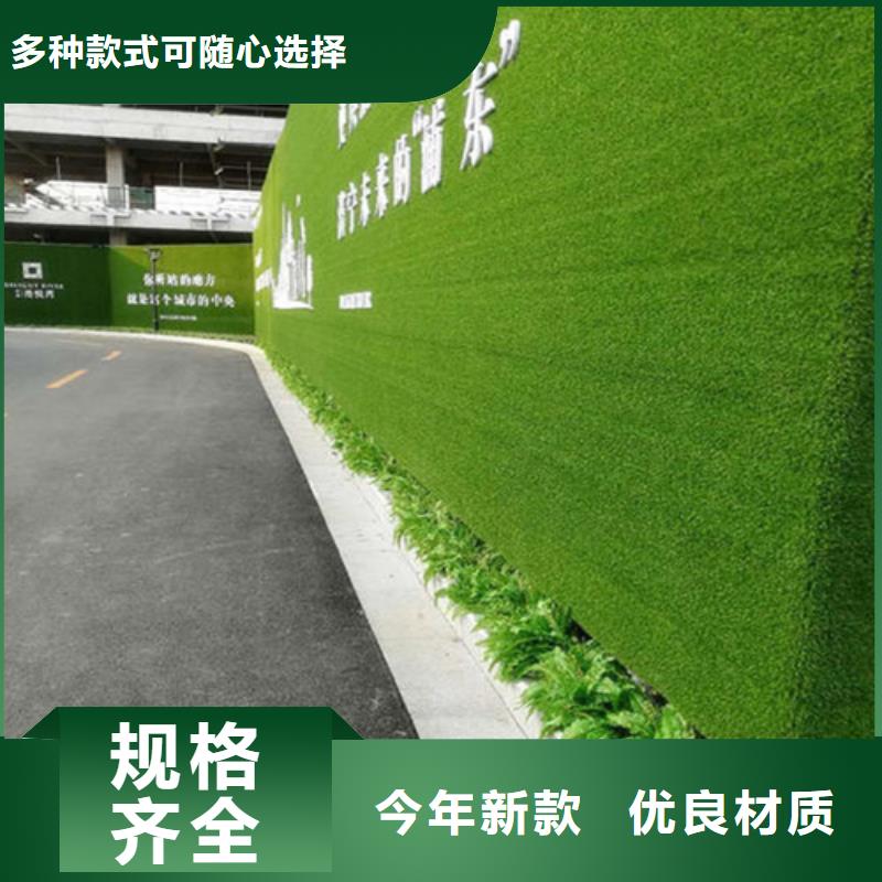 草坪围挡假草皮围挡海量货源