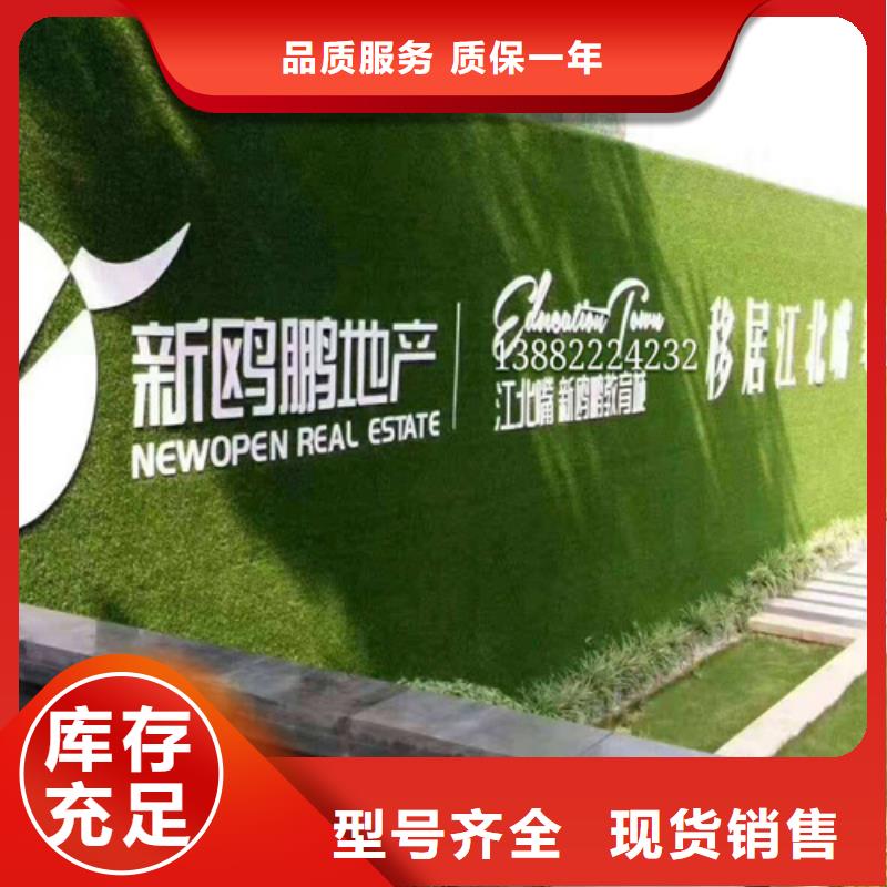 围挡草坪供应源头厂家【博翔远草坪】