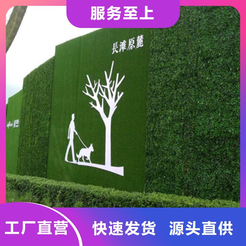 草坪围挡,围挡草坪合作共赢