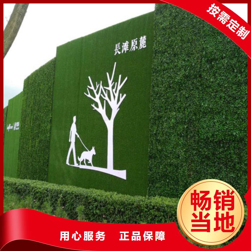 墙面20mm草坪做法及价格