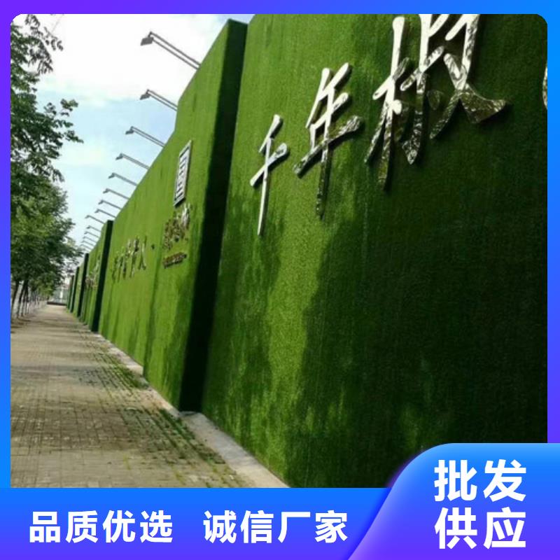 厂家销售：房地产售楼处墙面草皮-定制发货