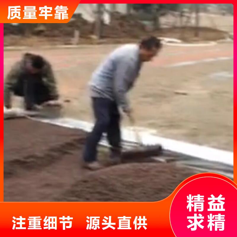 透水艺术压模地坪多种优势放心选择