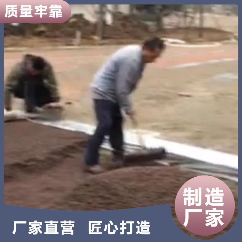 透水-水泥压印地坪生产经验丰富