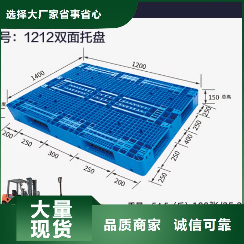水生蔬菜保鲜库塑料托盘生产厂家
