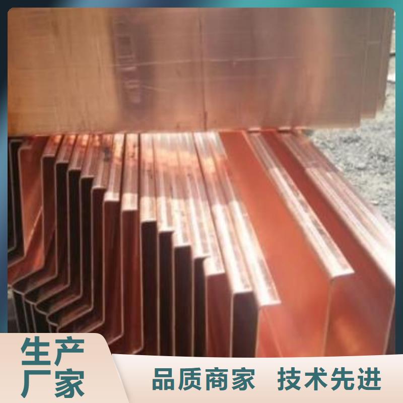 紫铜止水PVC橡塑止水带量大从优