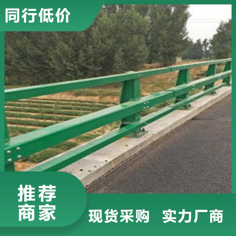 【辰铭】桥梁护栏安装乐东县供应商