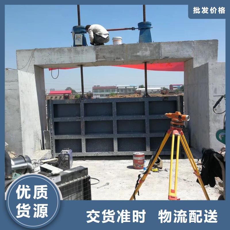 钢闸门实力雄厚品质保障