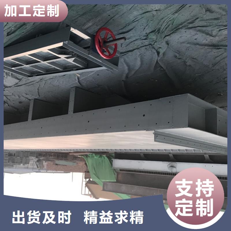 露顶弧形闸门
