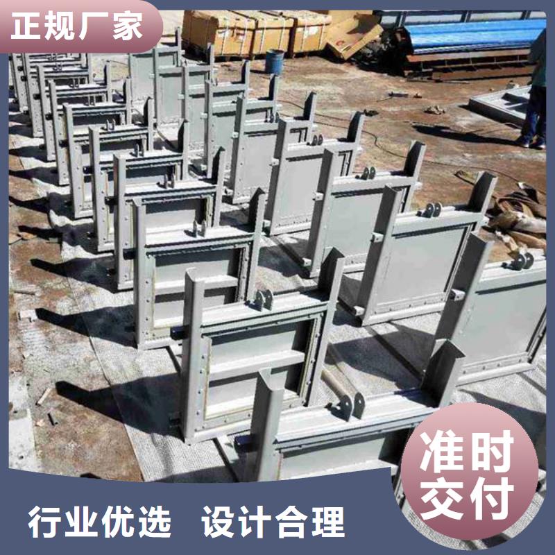 细节展示《瑞鑫》本地的钢制平面闸门  厂家